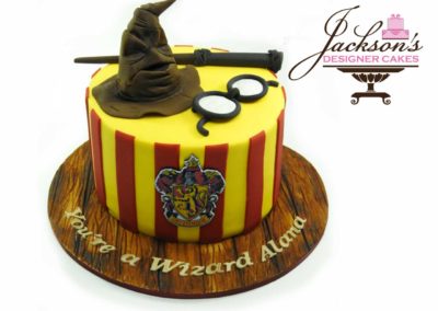 Harry Potter Wizard Cake